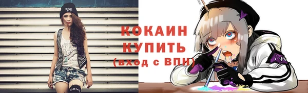 индика Армянск