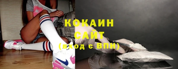 индика Армянск