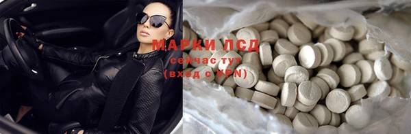 индика Армянск