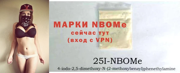гидра Пестово
