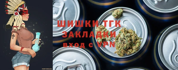 индика Армянск