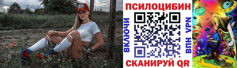где купить наркоту  Асбест  Псилоцибиновые грибы Magic Shrooms 